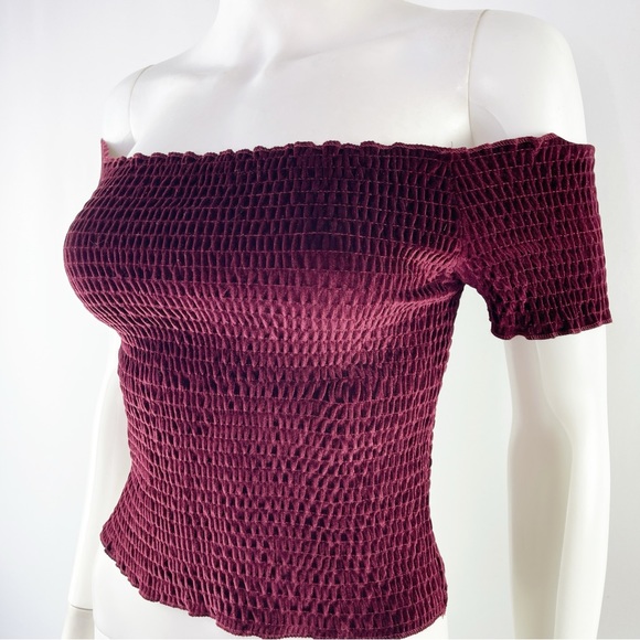 Light Before Dark Urban Outfitters Dark Red Shirred Crop Top Short Sleeve Size M - Picture 2 of 9